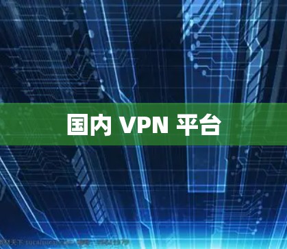 国内 VPN 平台 国内 VPN 平台