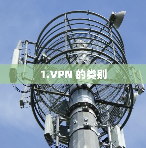 1.VPN 的类别