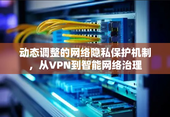 动态调整的网络隐私保护机制，从VPN到智能网络治理