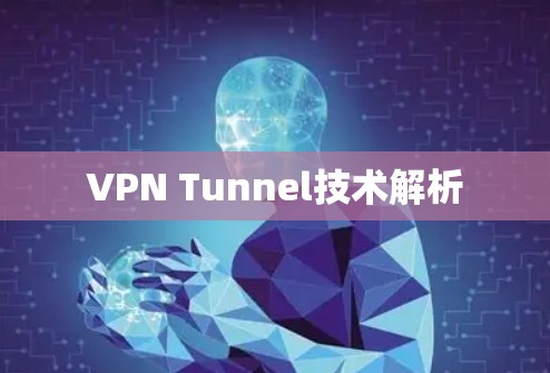 VPN Tunnel技术解析 VPN Tunnel技术解析
