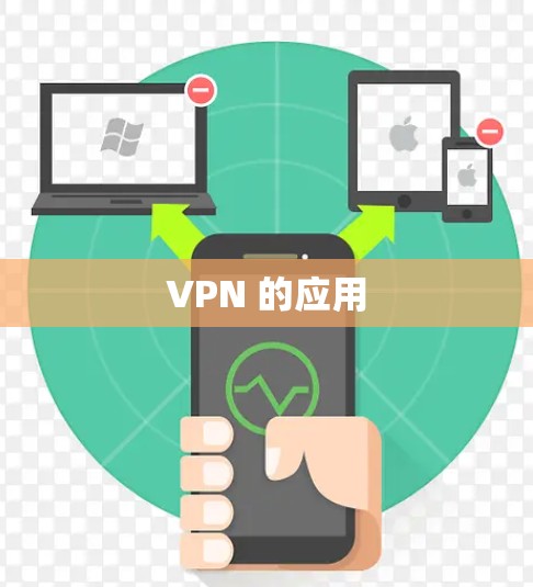 VPN 的应用 VPN 的应用