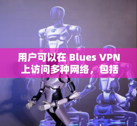 用户可以在 Blues VPN 上访问多种网络，包括互联网、移动数据、视频会议、文件传输等。其网络的安全性和隐私性使其成为许多用户常用的VPN选择