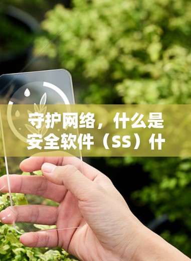 守护网络，什么是安全软件（SS）什么是VPN？