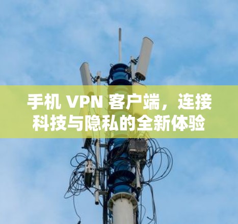 手机 VPN 客户端，连接科技与隐私的全新体验