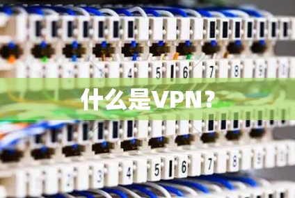 什么是VPN? 什么是VPN?