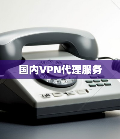 国内VPN代理服务 国内VPN代理服务