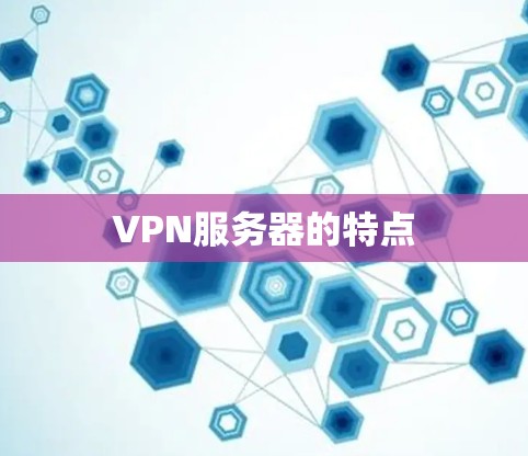 VPN服务器的特点