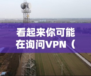 看起来你可能在询问VPN（Virtual Private Network）和安迅（An迅）这两个词。让我来为你详细解答一下