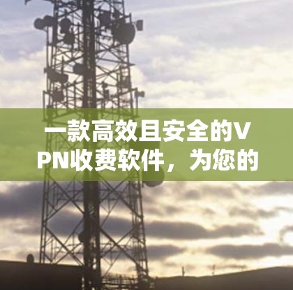 一款高效且安全的VPN收费软件，为您的网络保驾护航
