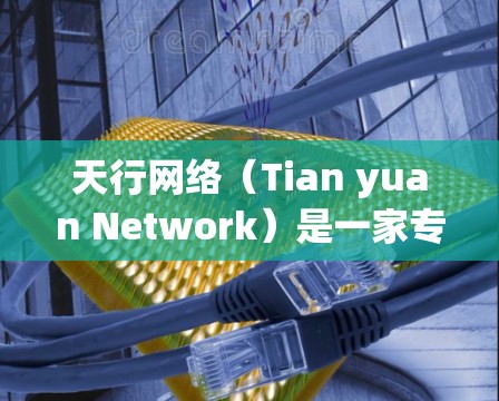 天行网络（Tian yuan Network）是一家专注于提供VPN服务的公司，专注于提供最安全、最可靠的VPN解决方案。它们通过多种技术手段确保用户数据的安全性和隐私，同时提供灵活的订阅和使用方式