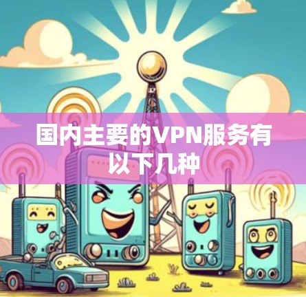 国内主要的VPN服务有以下几种