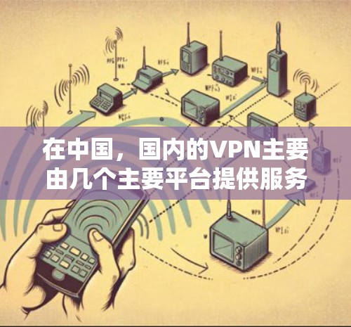 在中国，国内的VPN主要由几个主要平台提供服务，包括