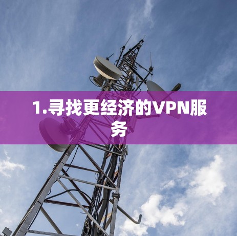 1.寻找更经济的VPN服务