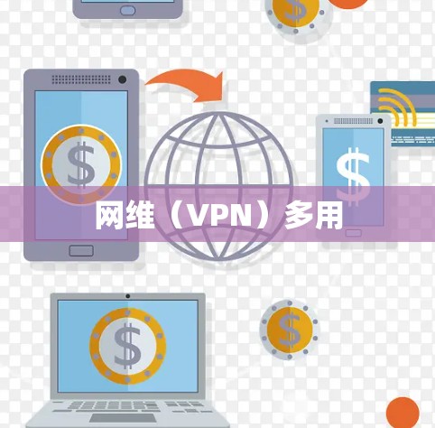 网维(VPN)多用 网维(VPN)多用