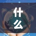 什么是VPN? 什么是VPN?