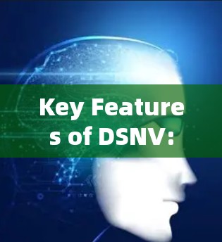 Key Features of DSNV: