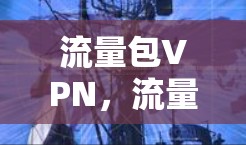 流量包VPN，流量驱动的网络优化之路