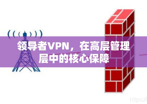 领导者VPN，在高层管理层中的核心保障