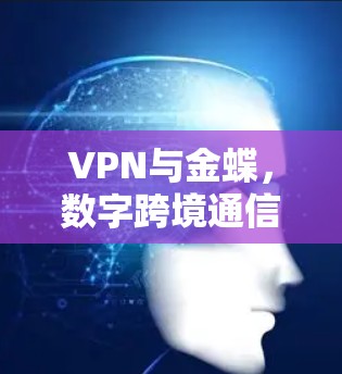 VPN与金蝶，数字跨境通信的高效解决方案