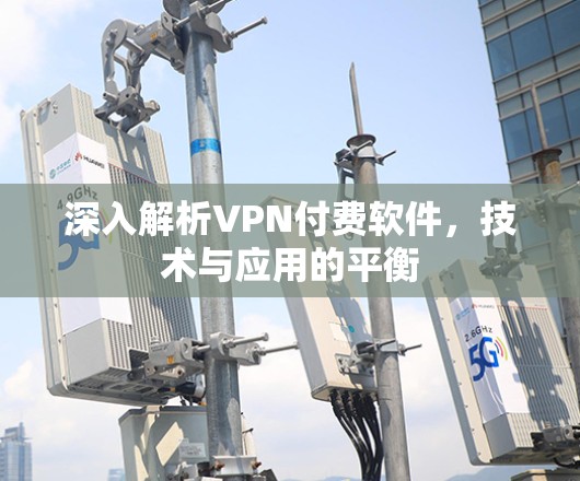 深入解析VPN付费软件，技术与应用的平衡