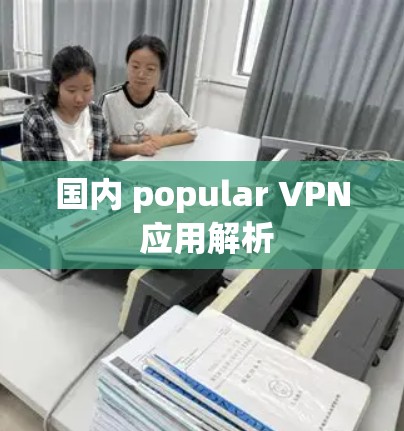 国内 popular VPN 应用解析 国内 popular VPN 应用解析