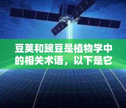 豆荚和豌豆是植物学中的相关术语，以下是它们的含义
