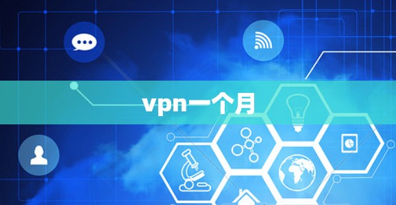 vpn一个月