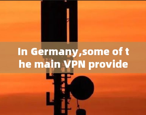 In Germany,some of the main VPN providers include: