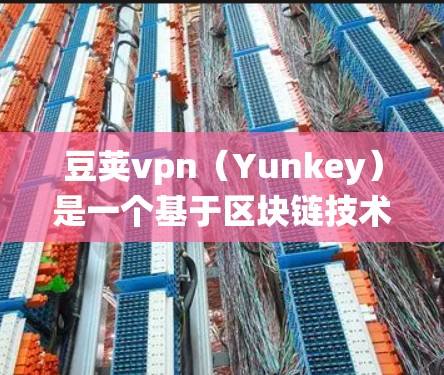 豆荚vpn（Yunkey）是一个基于区块链技术的智能合约平台，旨在为用户提供安全、透明和可追溯的网络服务。它通过智能合约解决传统网络中的问题，例如账户安全、交易透明度和可追溯性