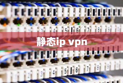 静态ip vpn