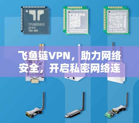 飞鱼链VPN，助力网络安全，开启私密网络连接