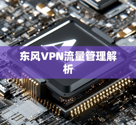 东风VPN流量管理解析