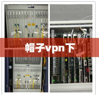 帽子vpn下