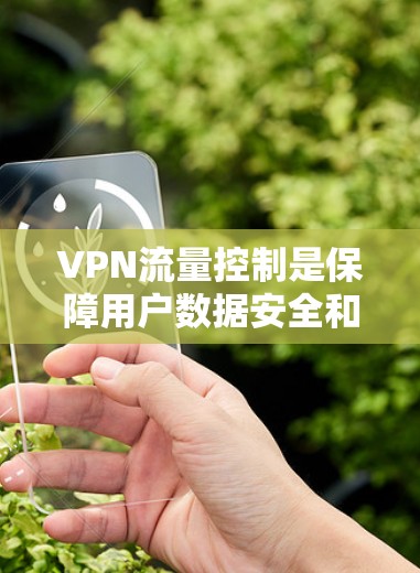 VPN流量控制是保障用户数据安全和网络流畅性的关键功能。以下是关于VPN流量控制的详细解释
