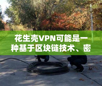 花生壳VPN可能是一种基于区块链技术、密码学和数字签名的VPN服务。以下是对其技术特点、优势和潜在风险的详细分析