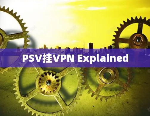 PSV挂VPN Explained