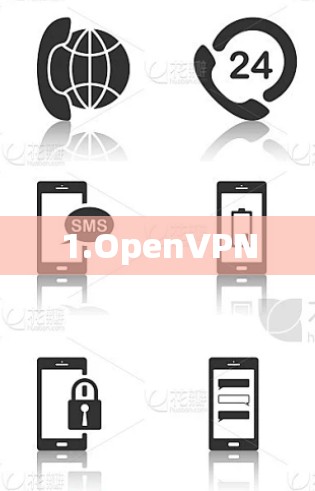 1.OpenVPN