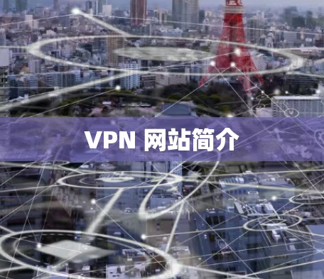 VPN 网站简介