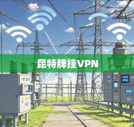 昆特牌挂VPN