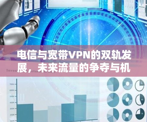 电信与宽带VPN的双轨发展，未来流量的争夺与机遇