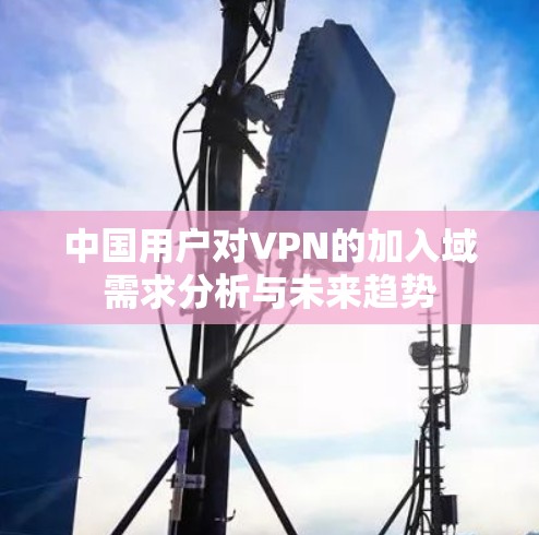 中国用户对VPN的加入域需求分析与未来趋势