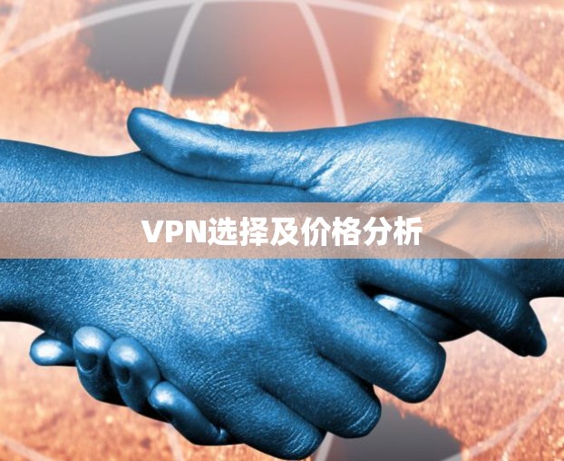 VPN选择及价格分析