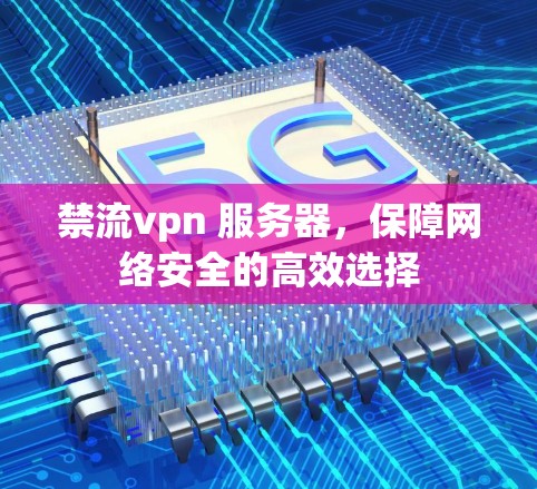 禁流vpn 服务器，保障网络安全的高效选择