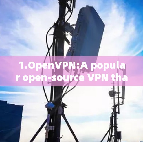 1.OpenVPN:A popular open-source VPN that allows users to connect to any server around the world.