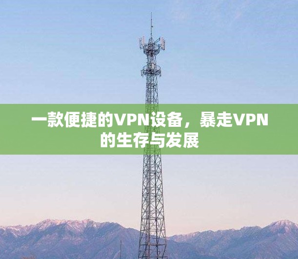 一款便捷的VPN设备，暴走VPN的生存与发展