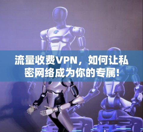 流量收费VPN，如何让私密网络成为你的专属!