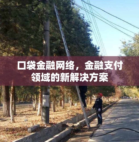 口袋金融网络，金融支付领域的新解决方案