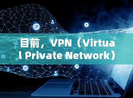 目前，VPN（Virtual Private Network）是一个非常普遍且实用的网络服务，允许用户在互联网上进行视频会议、文件交换、聊天等。以下是几种常见的VPN类型，供您参考
