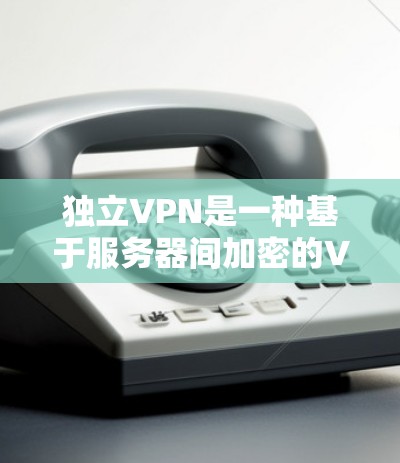 独立VPN是一种基于服务器间加密的VPN技术，完全依赖服务器间连接，避免了外部设备的潜在问题，确保通信的安全和隐私。以下是独立VPN的详细步骤和方法