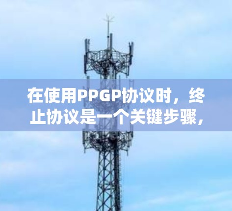 在使用PPGP协议时，终止协议是一个关键步骤，确保连接的可靠性和安全性。以下是一个系统化的步骤指南，帮助您逐步掌握如何控制协议终止
